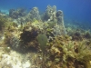 DSC01637