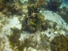 DSC01638