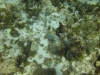 DSC01641