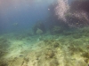 DSC01670
