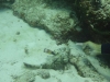 DSC01681