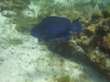 DSC01698