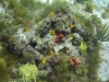 DSC01700