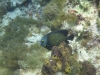 DSC01702