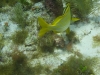 DSC01703