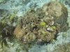 DSC01704