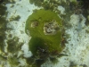 DSC01708