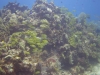 DSC01711