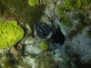 DSC01712