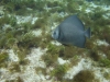DSC01716