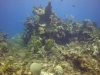 DSC01717