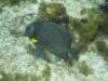 DSC01719