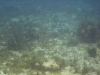 DSC01720