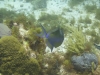 DSC01721
