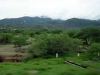 DSC00306