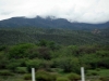 DSC00309