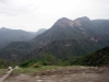 DSC00317