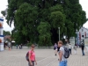 DSC00347
