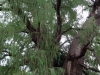 DSC00370