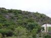 DSC00410
