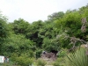 DSC00412