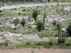 DSC00451