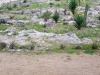 DSC00453