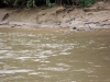 DSC00500