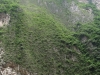 DSC00527