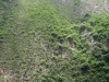 DSC00531