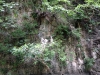 DSC00532