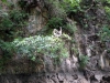DSC00533