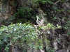 DSC00534