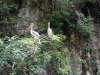 DSC00535