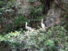 DSC00536