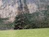 DSC00539