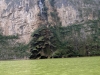 DSC00540