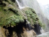 DSC00547