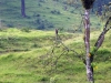 DSC00591