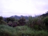 DSC00592