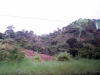DSC00593
