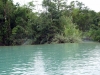 DSC00603