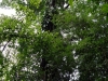 DSC00608
