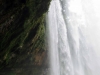 DSC00653