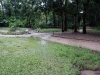 DSC00666