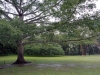 DSC00672