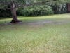 DSC00673