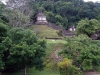 DSC00697