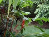 DSC00733
