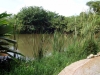 DSC00749